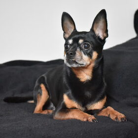 Fotoshoot.