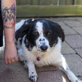 Hondenfoto van Angelique; Bruno, Charlie & Fenna  