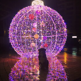 Hondenfoto van Vicky & Toby