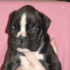 Senna 30 dagen oud!!