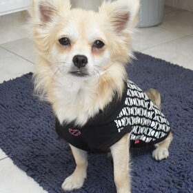 toby