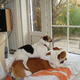 tessa en amber genietend van het zonnetje wat door de tuindeur…