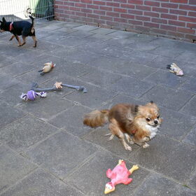 Balou had het al erg snel koud dus zijn we weer naar binnen…