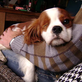 Onze grote lieve knappe King!
