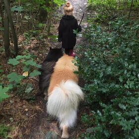 ijslandse hond en finselappenhond (3)