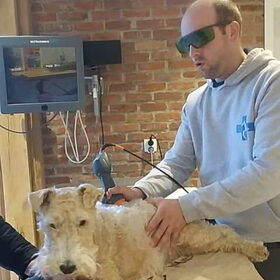 Genia verlamd op de achterpootjes sinds einde jaar 2019 , foto…