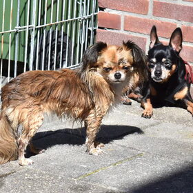 Samen in het zonnetje.