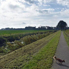 Tijdens een wandeling.