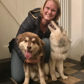 Hondenfoto van Marijke - Aila, Dinja & Evi