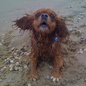 Floortje op het strand !