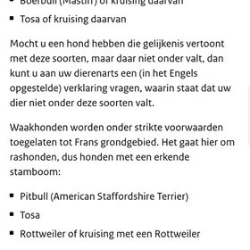 Hondenfoto van Dutchshepherdteam 