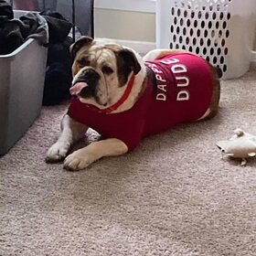 Hondenfoto van Bubba de Bulldog en ik