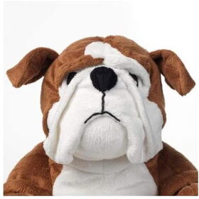 Hondenfoto van Bubba de Bulldog en ik