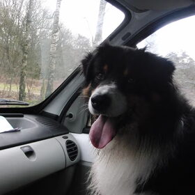 En dan kunnen we weer naar huis. Was gezellig (morgen weer toch?)
