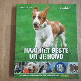 Hondenfoto van Hondenhumor Sasja de Eerste ITC-Hond die nu met pensioen is.