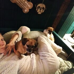 Hondenfoto van Nori met Chewy, Ayla, Leiah & Mace