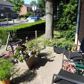 Hondenfoto van Annelies met  Sem