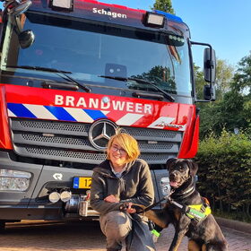 Hondenfoto van Heavenly en de hond King (En Marvey en Ginny)