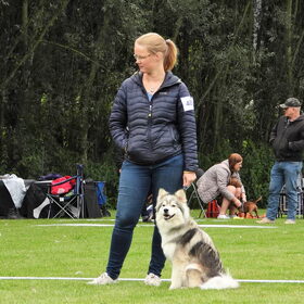 Hondenfoto van Marijke - Aila, Dinja & Evi