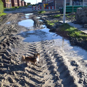 Lotus kijkt, en nu?