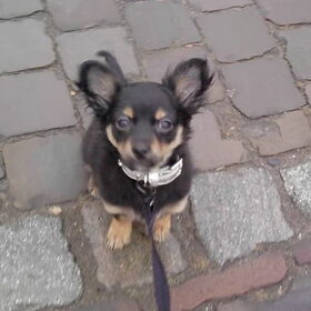 Brutus 24-02-10