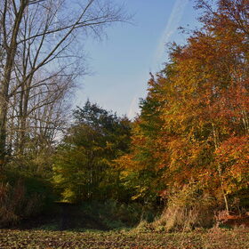 Herfst.