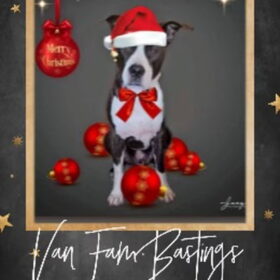 Kerstfoto laten maken van Noah