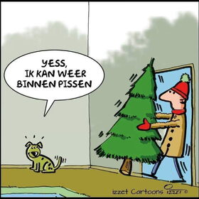 Hondenfoto van Thara 