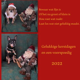 Fijne feestdagen.