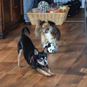 Samen spelen is vermoeiend.