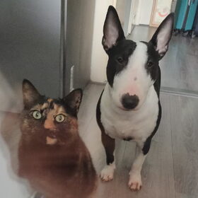 Hondenfoto van Nadia & Mila