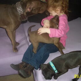Met de andere pups en papa Spikey