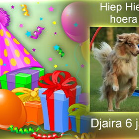 Hondenfoto van Danielle, Kyra*Kaylin*, Djaira en Djaidey