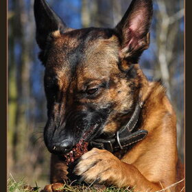 beter te zien op http://www.flickr.com/photos/deheuvelroedel/4421…