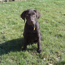 7 maart 2010, ben al flink gegroeid!