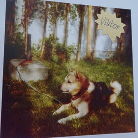 Mijn eerste hond.