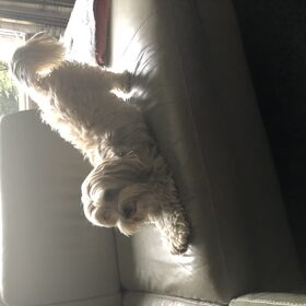 Pas uit bed