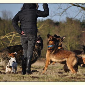 Opletten allemaal!!
