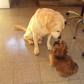 max en Bo