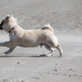 op het strand