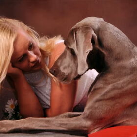 Allegro & me, we are inherent, very bounded
