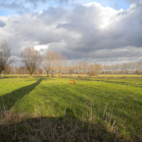 Spelen in de weide :)