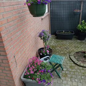 Hondenfoto van Annelies met  Sem