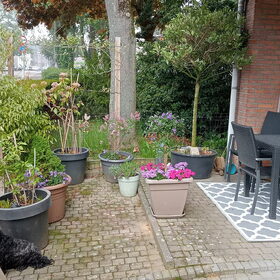 Hondenfoto van Annelies met  Sem
