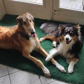 Dialga (8 maand) en Kayan (1 jaar)