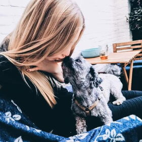 Hondenfoto van Milou 