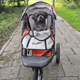 Hondenfoto van Milou 