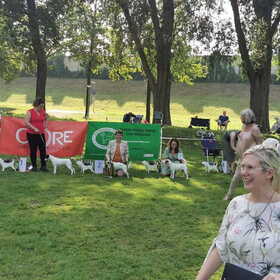 Hondenfoto van Fudge, Chunky, Maylo † & Ziko † en baasje Laura 