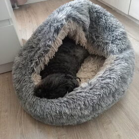 Hondenfoto van Annelies met  Sem