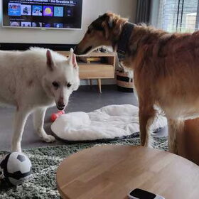 Mike (13) en Dialga (10 maanden)